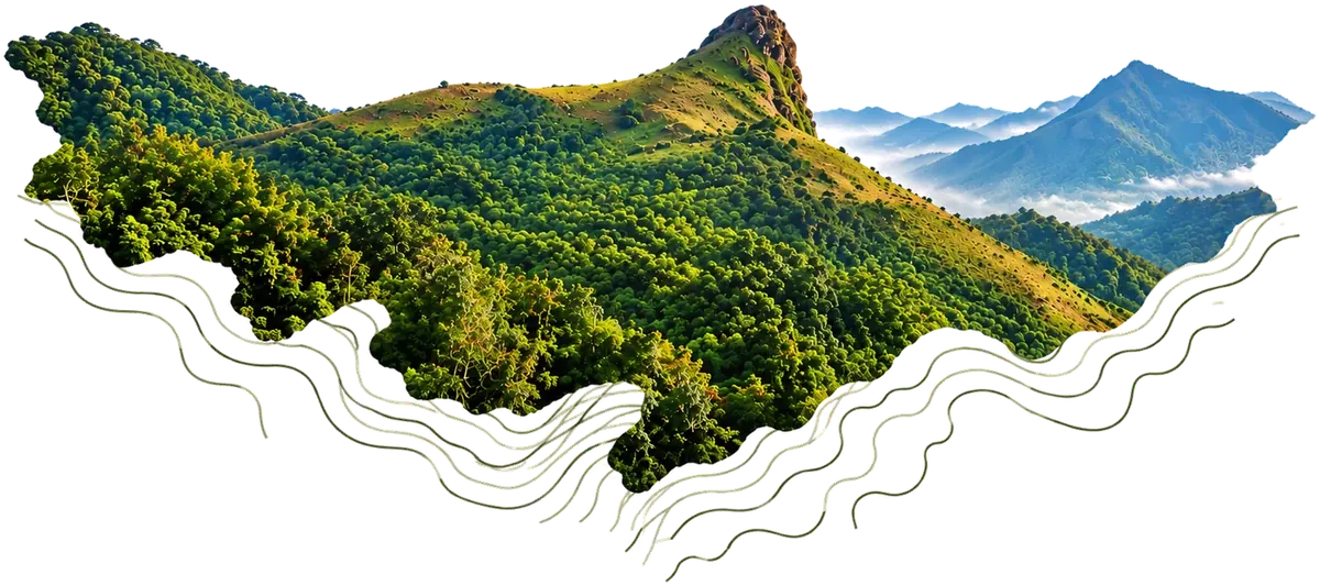 Forested hills and a rocky peak of the Western Ghats above the clouds near Chikkamagaluru